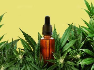 Clubes y Asociaciones de Cannabis en Barcelona: guía legal para entrar y hacerse socio (2026)