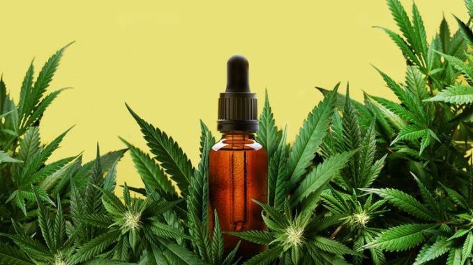 Clubes y Asociaciones de Cannabis en Barcelona: guía legal para entrar y hacerse socio (2026)